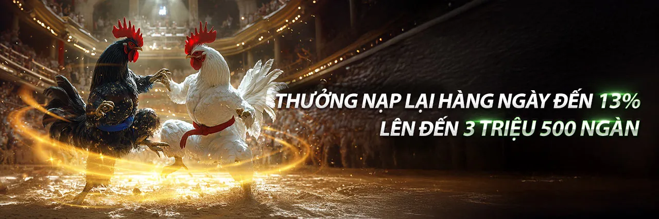 Đá Gà 15/6 Trực Tiếp